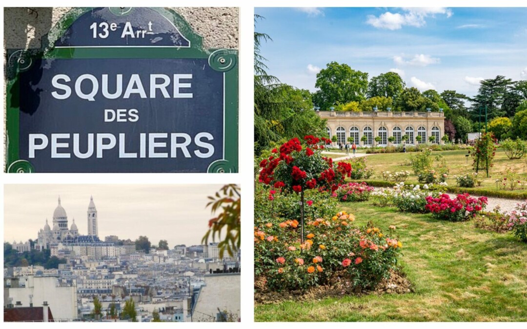 Paris sans touristes – 5 lieux que les Parisiens gardent pour eux