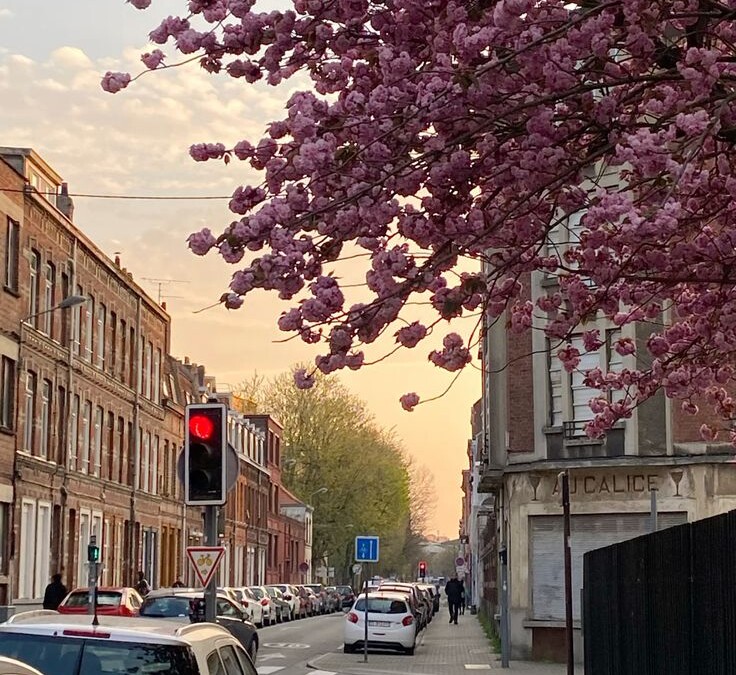 The 5 Best Spots to Recharge in Lille: Where to Relax and Unwind